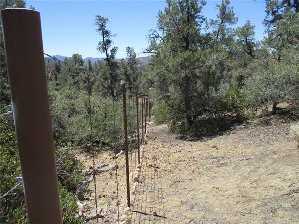 E. Green Trail: E. Green Trail, Frazier Park, CA 93225
